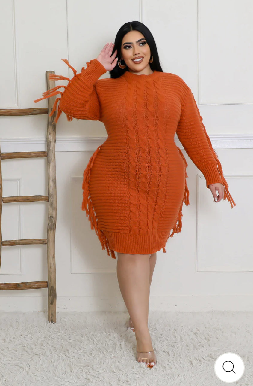 lori fringe sweater dress